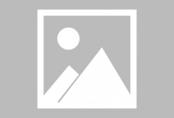 蛋仔派对最新爆料龙魂,蛋仔派对新版本神秘龙魂元素揭秘